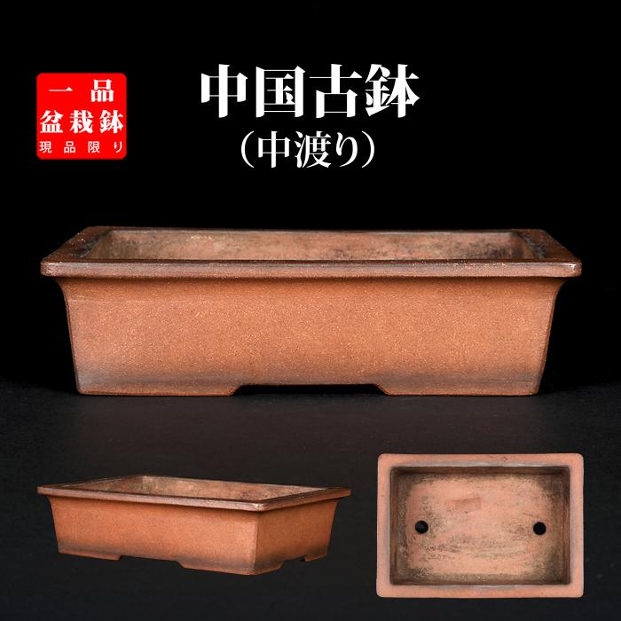 盆栽 盆栽鉢 植木鉢 和鉢 紫泥長方鉢 紫泥長方中深 盆栽鉢 13号