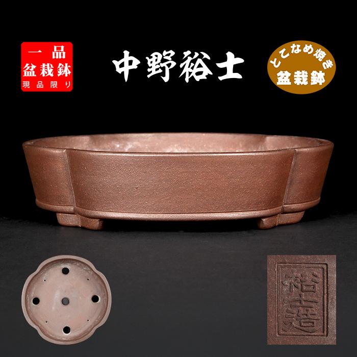 中野裕士盆栽鉢小品盆栽山野草