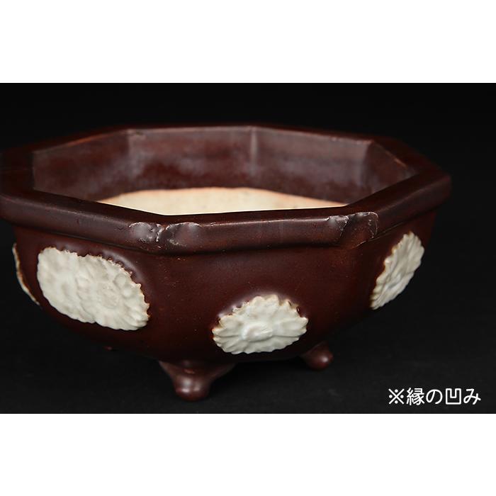盆栽鉢 「尾張紫釉貼花文八角鉢」植木鉢 瀬戸 磁器物 6号 18cm 紫