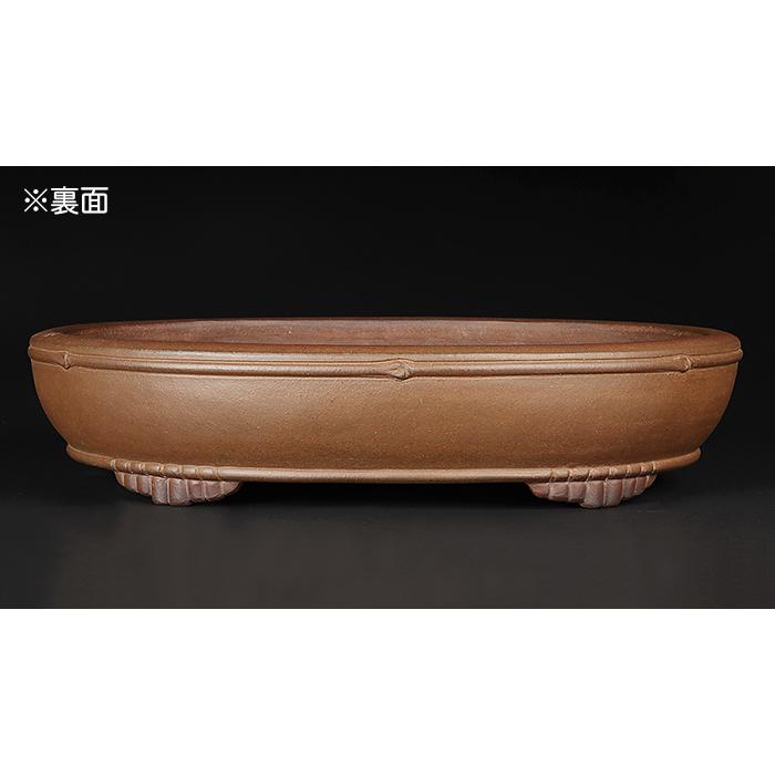 盆栽鉢 行山竹節楕円鉢 植木鉢 常滑 17号 52cm 手造り 釘彫落款 紫泥