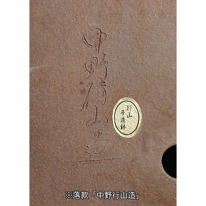 盆栽鉢 行山竹節楕円鉢 植木鉢 常滑 17号 52cm 手造り 釘彫落款 紫泥