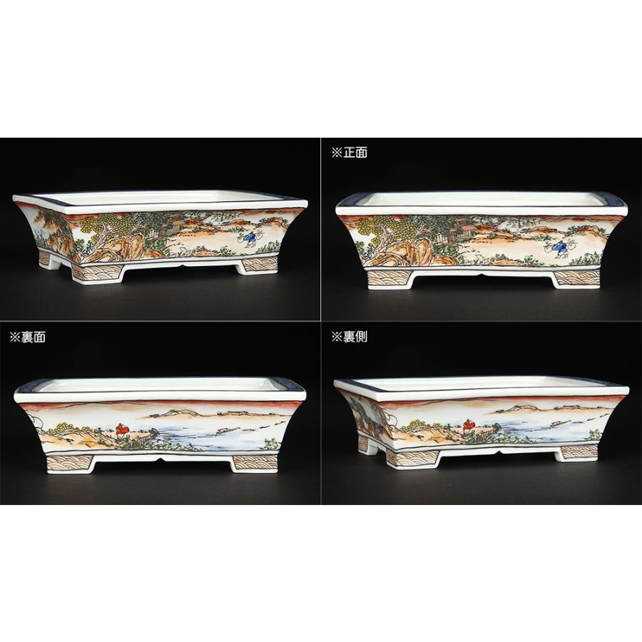 盆栽鉢 月之輪正泉五彩訪友図長方鉢 絵付鉢 色絵 京焼 清水焼 5号 15cm 小品盆栽に最適の画像