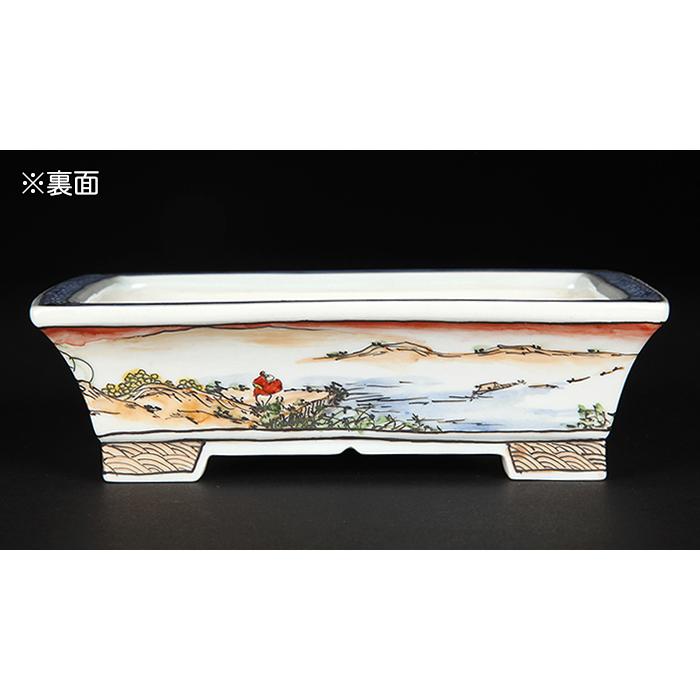 盆栽鉢 月之輪正泉五彩訪友図長方鉢 絵付鉢 色絵 京焼 清水焼 5号 15cm 小品盆栽に最適の画像