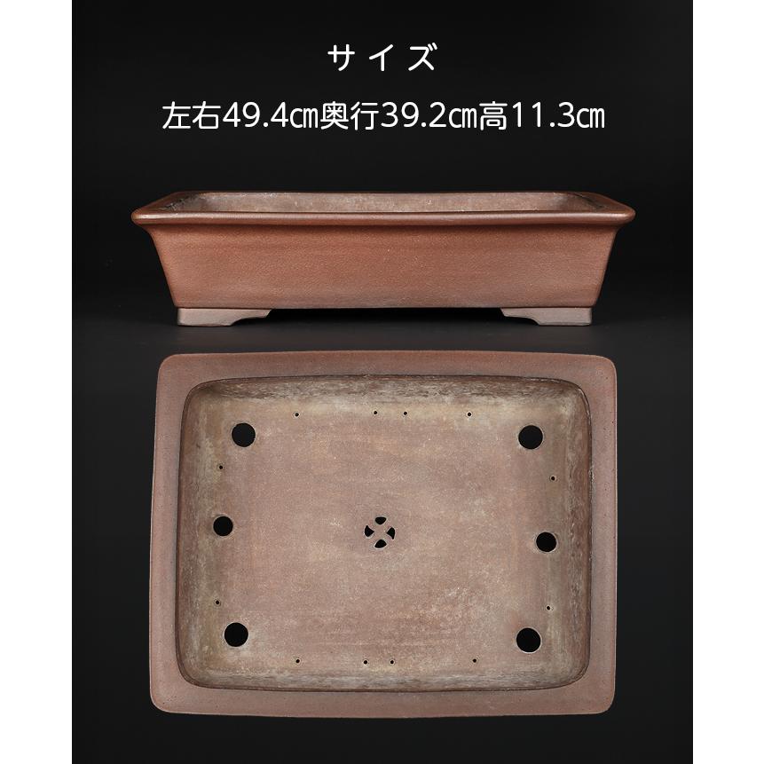 盆栽鉢 行山外縁長方鉢 常滑 手造り 釘彫り落款 17号 49cm 松柏 大物