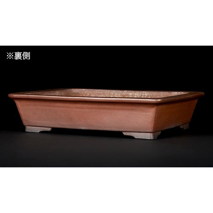 盆栽鉢 行山外縁長方鉢 常滑 手造り 釘彫り落款 17号 49cm 松柏 大物