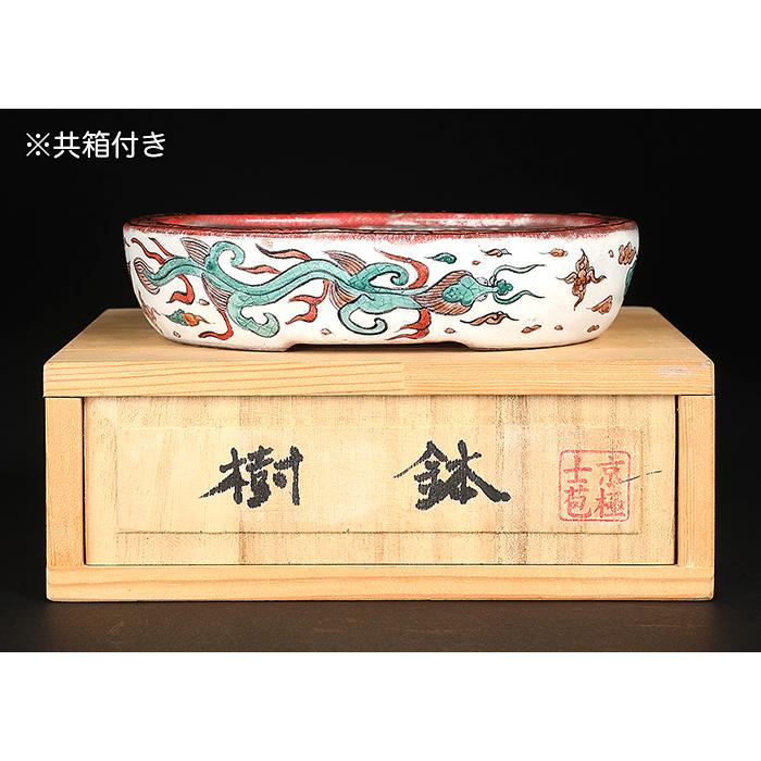 盆栽鉢 京極士苞五彩雨龍図楕円鉢 植木鉢 絵付鉢 色絵 手描き 手造り