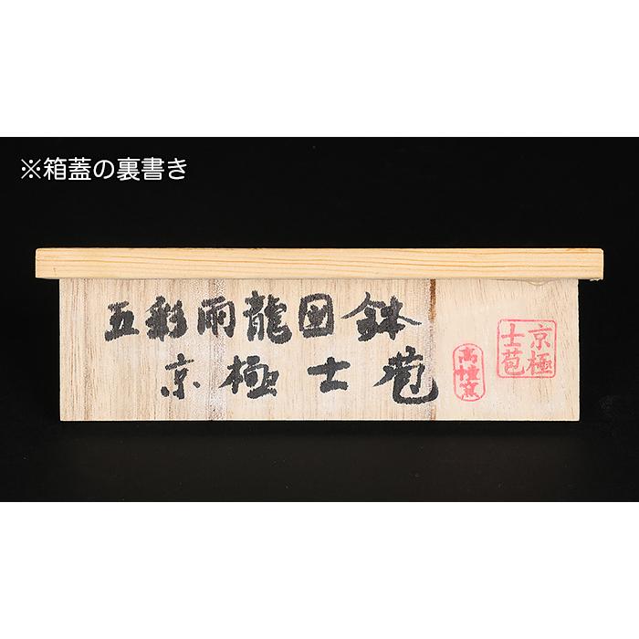 盆栽鉢 京極士苞五彩雨龍図楕円鉢 植木鉢 絵付鉢 色絵 手描き 手造り