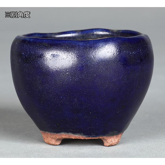 盆栽鉢 二代東福寺瑠璃釉丸鉢 植木鉢 平安東福寺 水野勇 落款あり