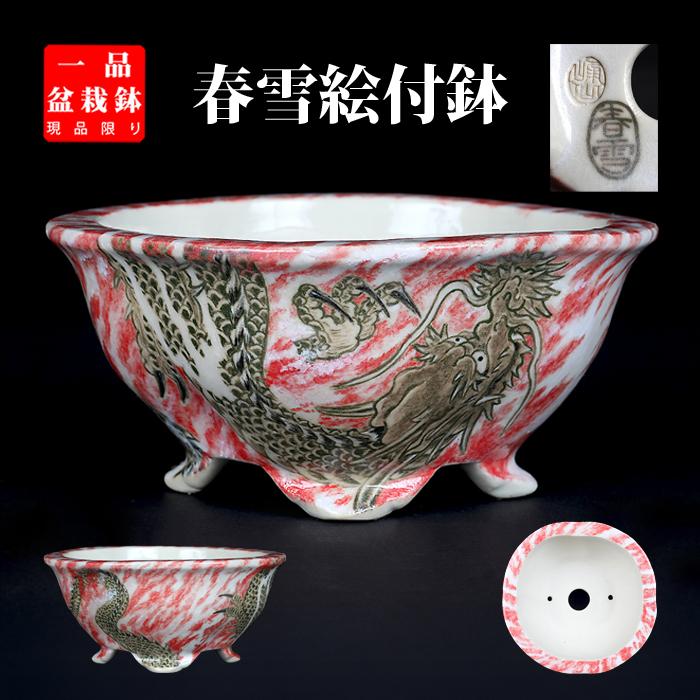 盆栽鉢 春雪色絵龍図変わり鉢 植木鉢 絵付 シュンセツ 磁器 4号 11cm