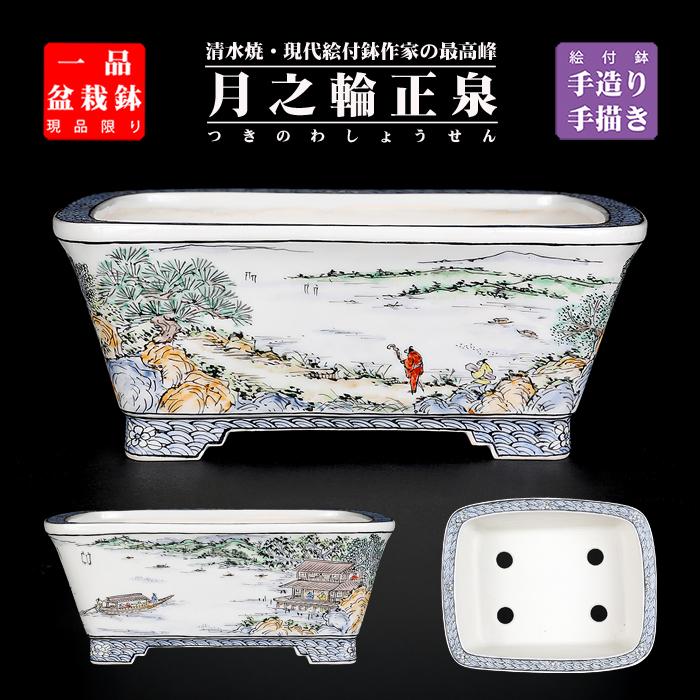盆栽鉢 月之輪正泉五彩訪友図長方鉢 絵付鉢 色絵 京焼 清水焼 5号 16cm