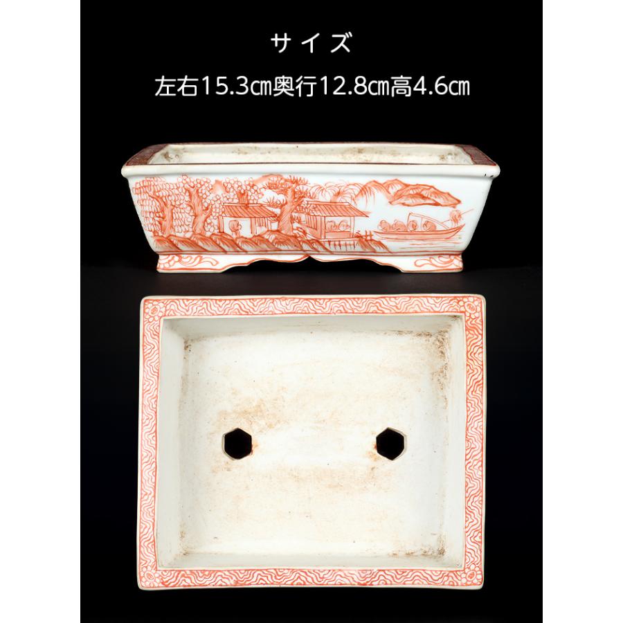 盆栽鉢 雄山色絵・赤絵長方鉢一対 ユウザン 5号 15cm 色絵 小品盆栽