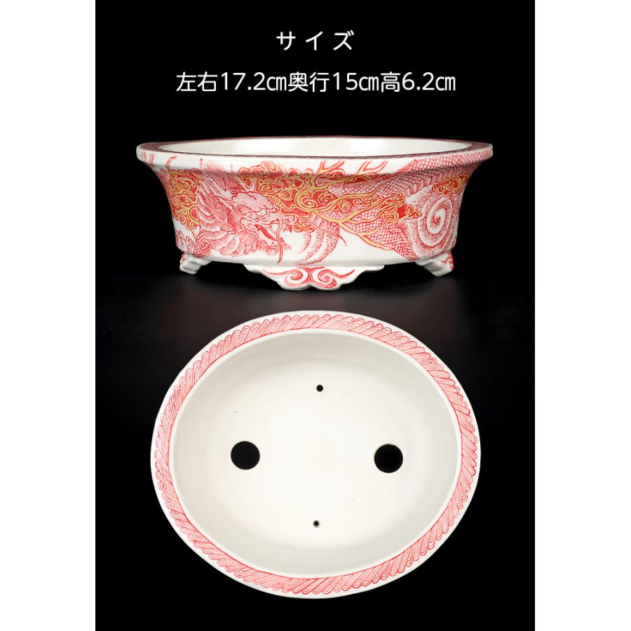盆栽鉢 高山赤絵龍図楕円鉢 九谷峰山 絵付鉢 手描き 磁器 6号 17cm