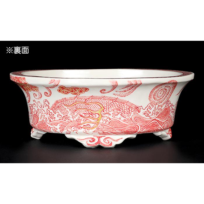 赤水窯元　古い盆栽鉢　　　50年物盆栽鉢 いい風景　　　和古鉢 盆栽鉢 高山赤絵龍図楕円鉢 九谷峰山 絵付鉢 手描き 磁器 6号 17cm