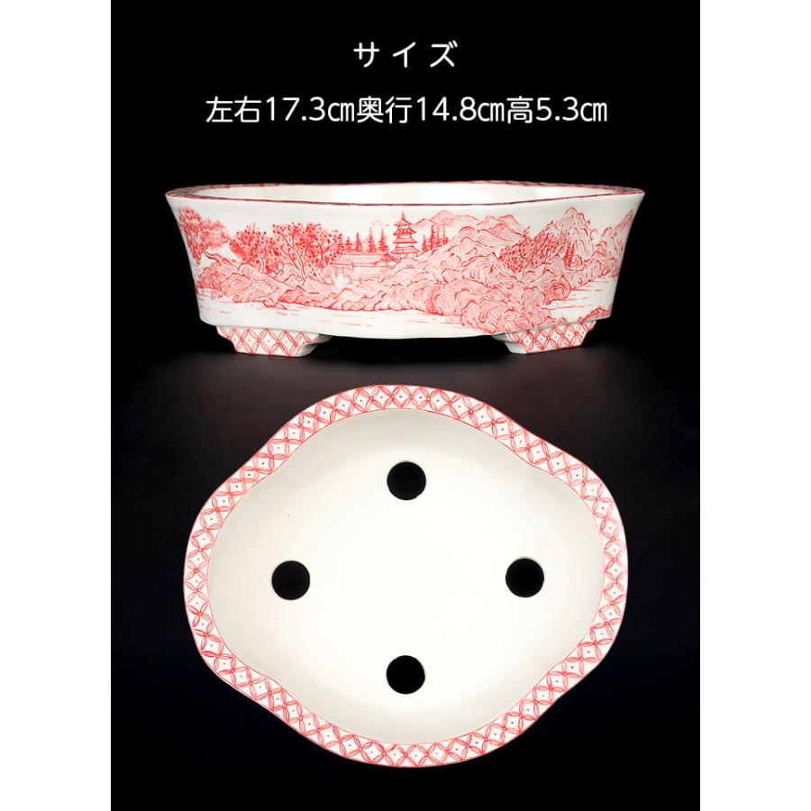盆栽鉢 高山赤絵山水図木瓜式鉢 九谷峰山 絵付鉢 手描き 磁器 6号 17cm