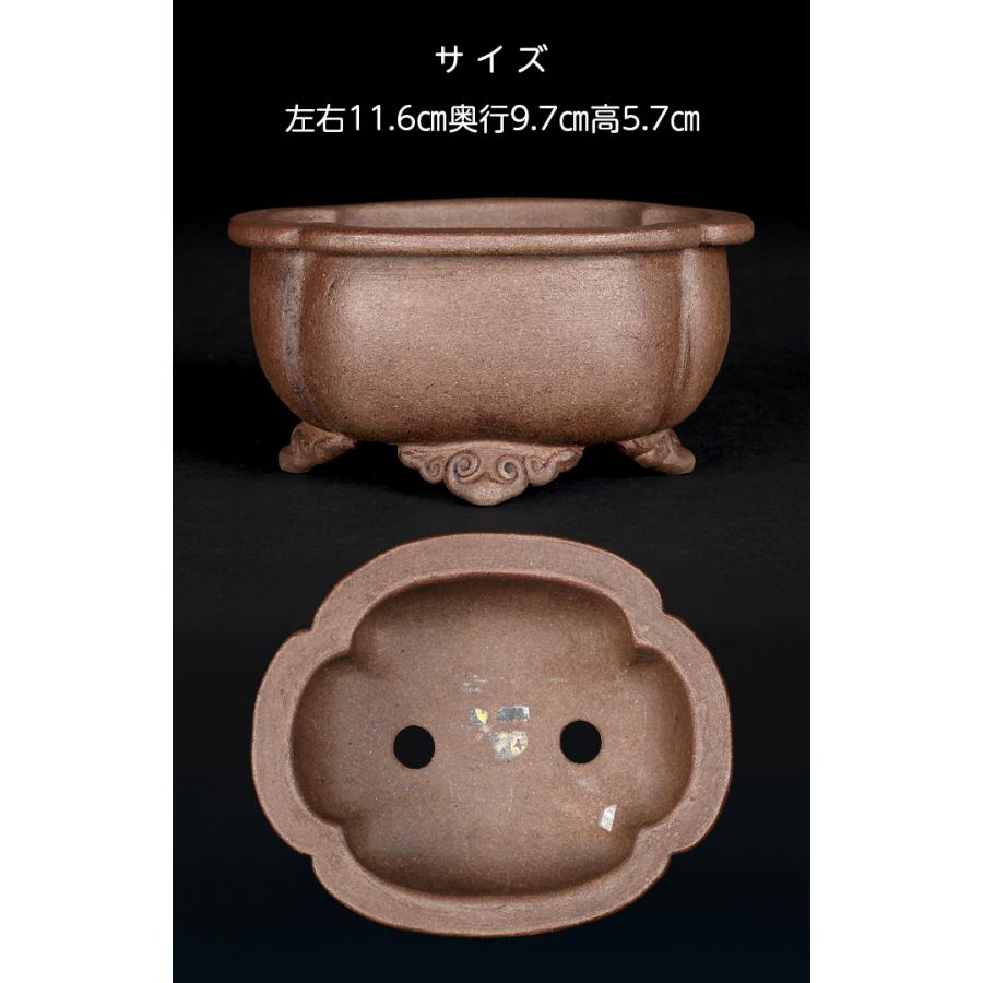 本　盆栽　盆栽鉢　盆器 七代渋草柳造染付美人図丸鉢 盆栽鉢 鉢 植木鉢 盆器 作家鉢 bonsaipot