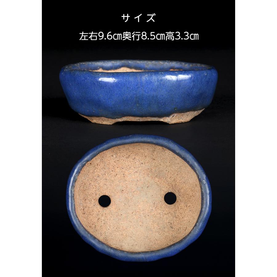 瑠璃色楕円鉢　盆栽鉢 東福寺瑠璃釉楕円鉢 | 盆栽、盆栽書籍、盆栽鉢の通販│近代出版