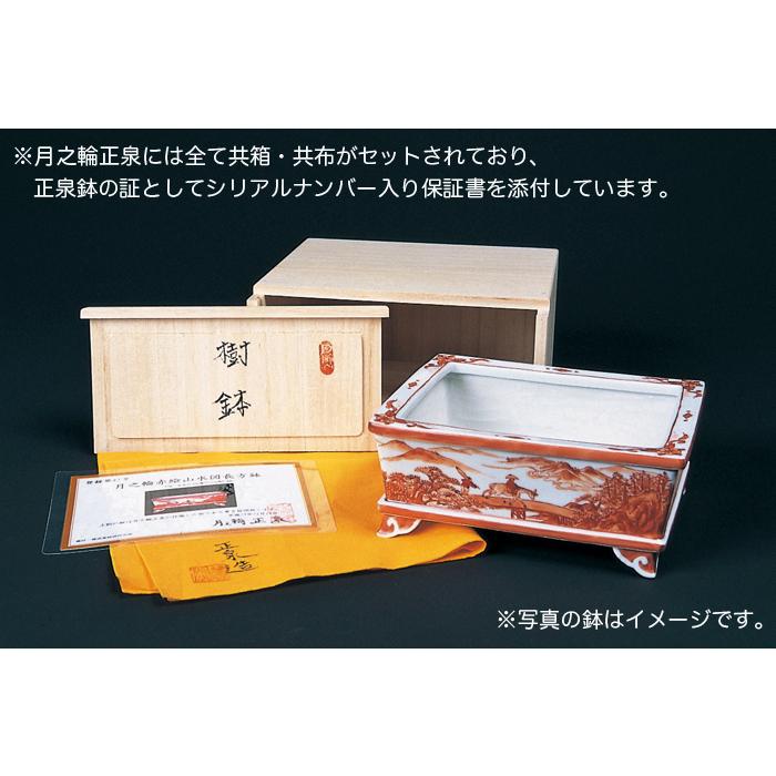 盆栽鉢 月之輪正泉五彩山水図正方鉢 絵付鉢 色絵 京焼 清水焼 5号 14cm