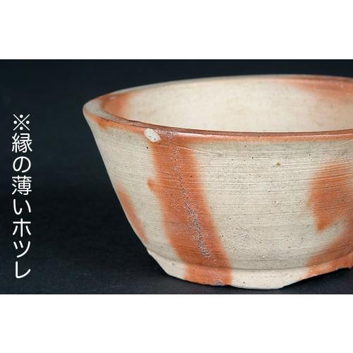 和丸鉢2点セット : 盆栽彩都ヤフー店 - 通販 - Yahoo!ショッピング