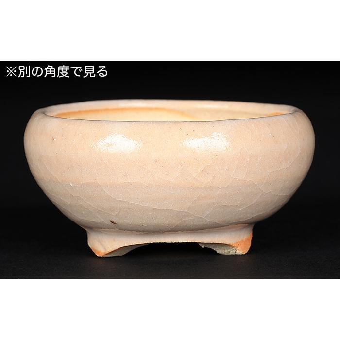 是好　ミニ盆栽鉢　丸　絵鉢 盆栽鉢 鉢 植木鉢 「是好絵付丸鉢」ぜこう 絵鉢 豆鉢 盆器 作家