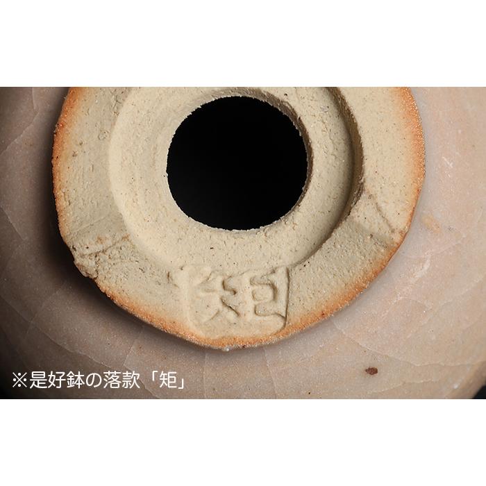 盆栽鉢 鉢 植木鉢 「是好絵付丸鉢」ぜこう 絵鉢 豆鉢 盆器 作家