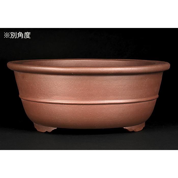 100 盆栽　盆栽鉢　植木鉢　中国鉢 100 盆栽 盆栽鉢 植木鉢 中国鉢 中国鉢、小判型、盆栽鉢、植木鉢、盆栽