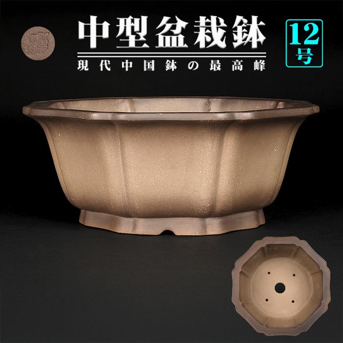 鉢盆栽鉢陶器中国落款あり
