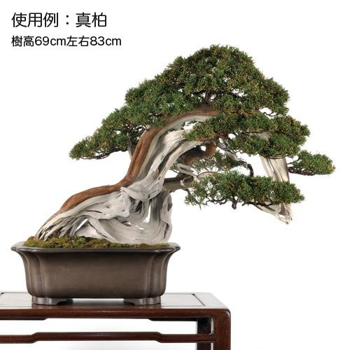 盆栽鉢/ 山源/ 常滑/ 長方/ 4点セット/ 寄せ植え/ 松盆栽/ 松柏/ 烏泥/ 多肉植物/ 山野草/ 花/ 雑木/ 盆栽/ 園芸/ ガーデニング C0EX0107 盆栽鉢 烏泥外縁隅入長方鉢 植木鉢 中国鉢 張氏製陶 落款あり 17号