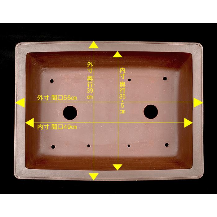盆栽鉢 紫泥外縁額面長方鉢 植木鉢 中国鉢 張氏製陶 落款あり 18号
