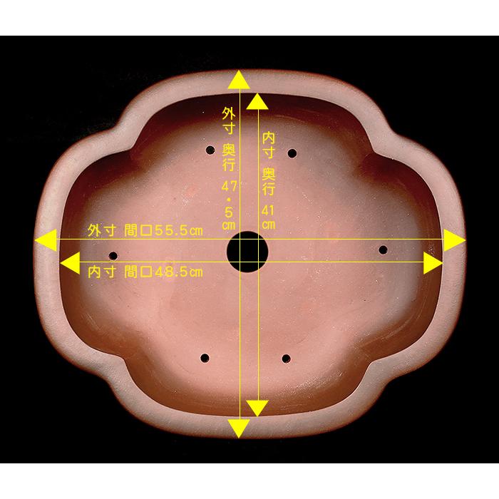 盆栽鉢 紫泥外縁木瓜式鉢 植木鉢 中国鉢 張氏製陶 落款あり 18号 55cm