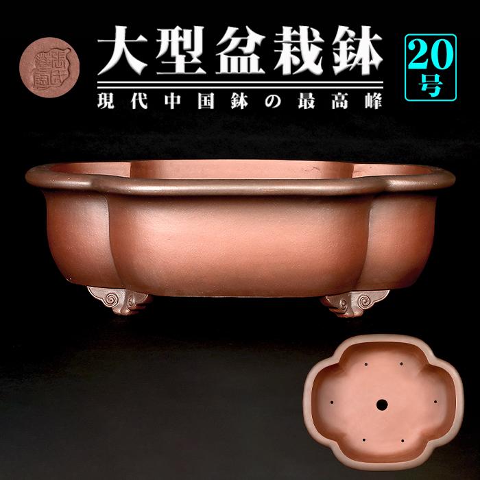 盆栽鉢 紫泥外縁木瓜式鉢 植木鉢 中国鉢 張氏製陶 落款あり 20号 60cm