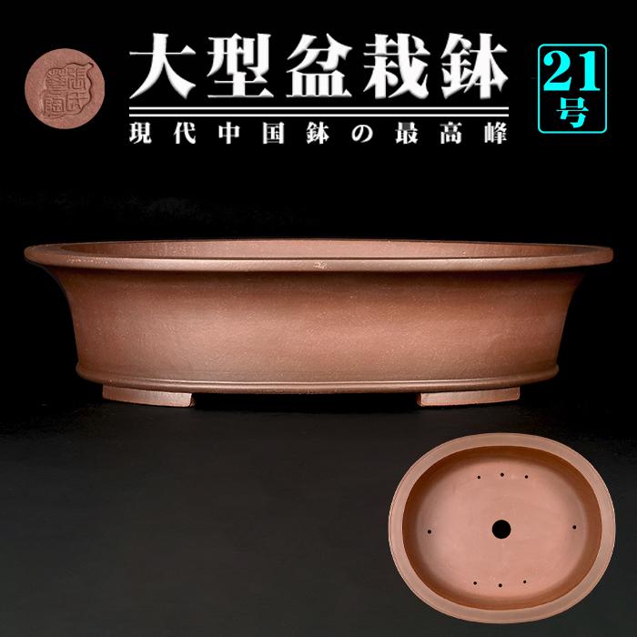 盆栽鉢 紫泥外縁下紐楕円鉢 植木鉢 中国鉢 張氏製陶 落款あり 21号