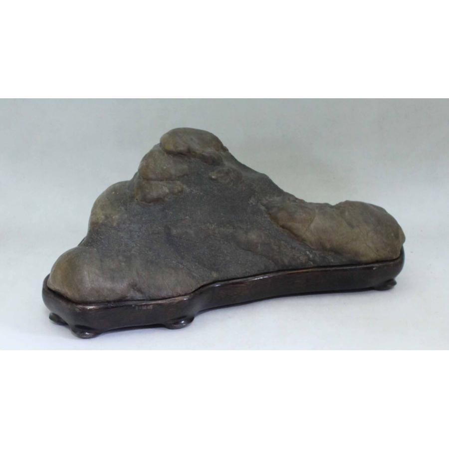 瀬田川石 天然石 鑑賞石 ウブ石 水石 景石 庭石 虎石 #97 瀬田川虎・遠山