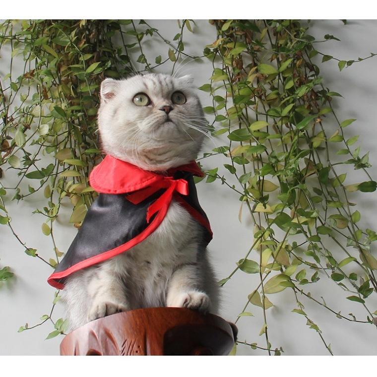 ペット コスプレ ハロウィン 仮装 コスチューム 犬 猫 マント