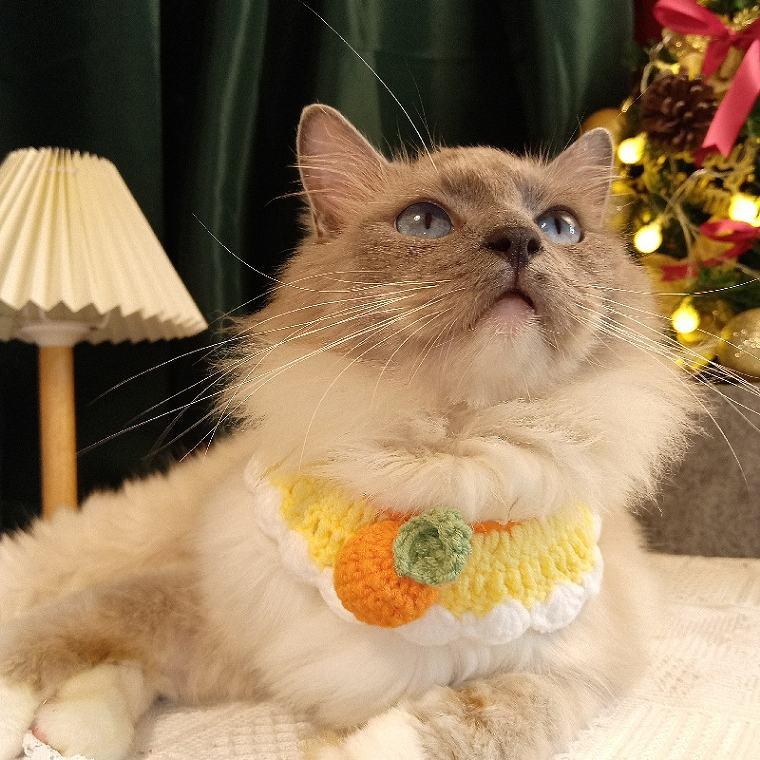 ペット スタイ 犬用 猫用 付け襟 首飾り よだれかけ ペット用