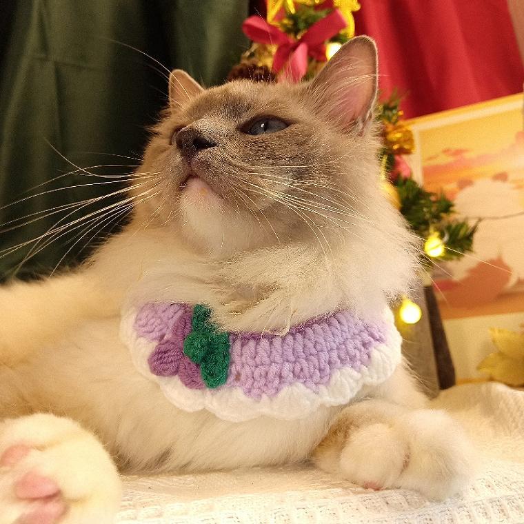 ペット スタイ 犬用 猫用 付け襟 首飾り よだれかけ ペット用バンダナ