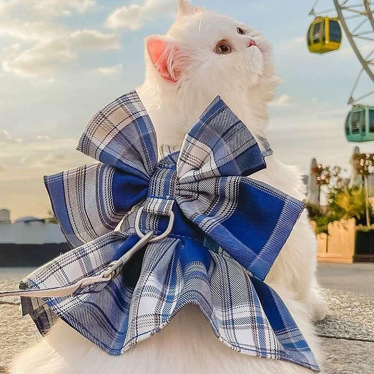 特別価格】kitten ribbon tie blouse(white)