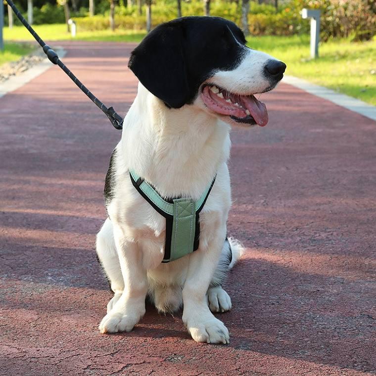 犬 ハーネス 大型犬 犬用ハーネス 胴輪 散歩 中型犬 超大型犬 引っ張り