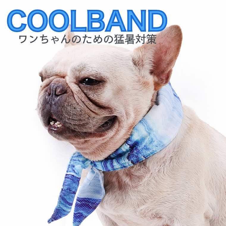 クールネック 犬 夏 クールバンダナ 軽い ひんやり おしゃれ クール
