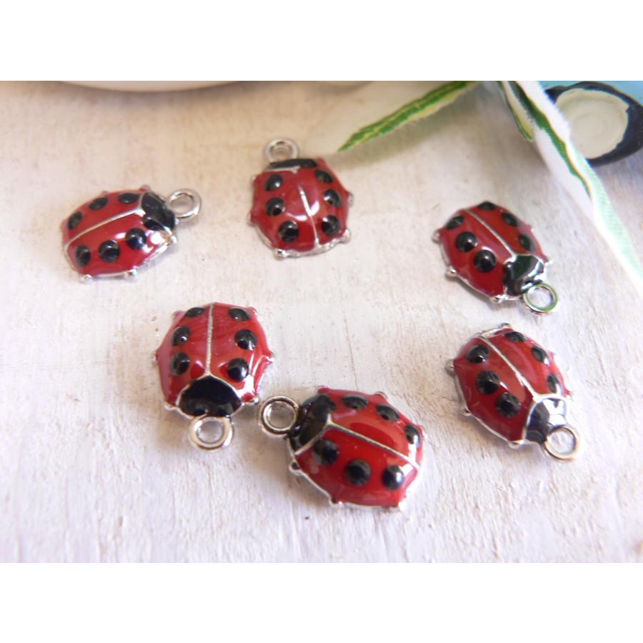 チャーム てんとう虫 6個入 テントウムシ #3746 : ブーブーハウス