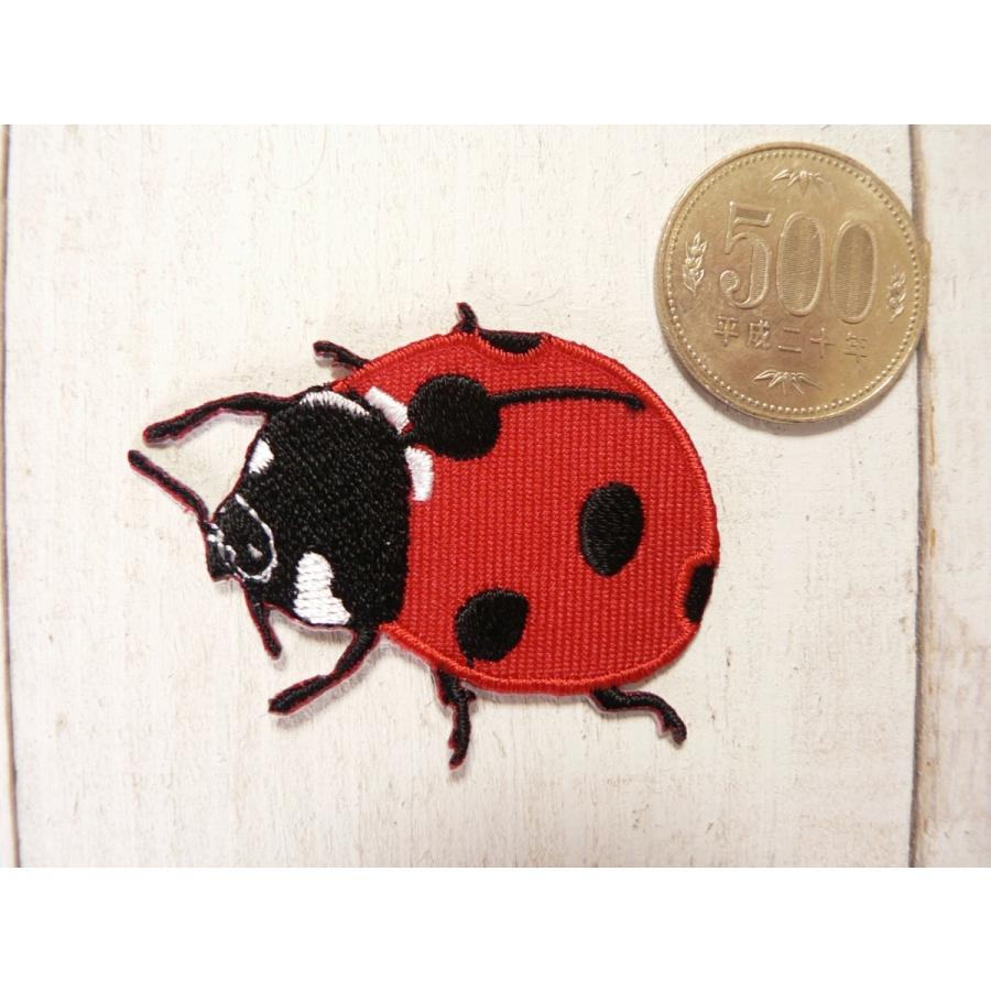 テントウムシ てんとう虫 ワッペン 手芸 アイロンパッチ 生き物 Wap 755 ブーブーハウス Yahoo 店 通販 Yahoo ショッピング