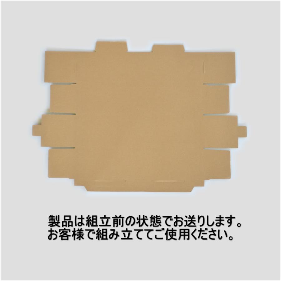 日本統一 氷室・田村 B3サイズポスターサイン付き2枚セット 51ORRajRgbL._AC_SY200_QL15_.jpg