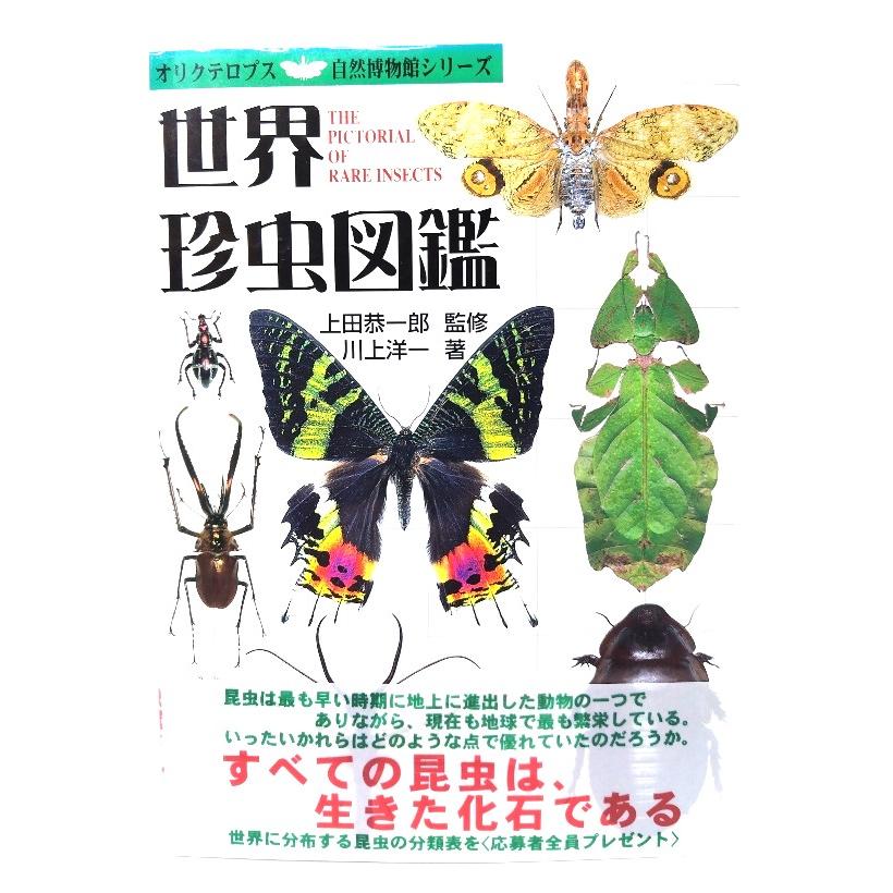 世界珍虫図鑑 (オリクテロプス自然博物館シリーズ)/上田恭一郎 監修