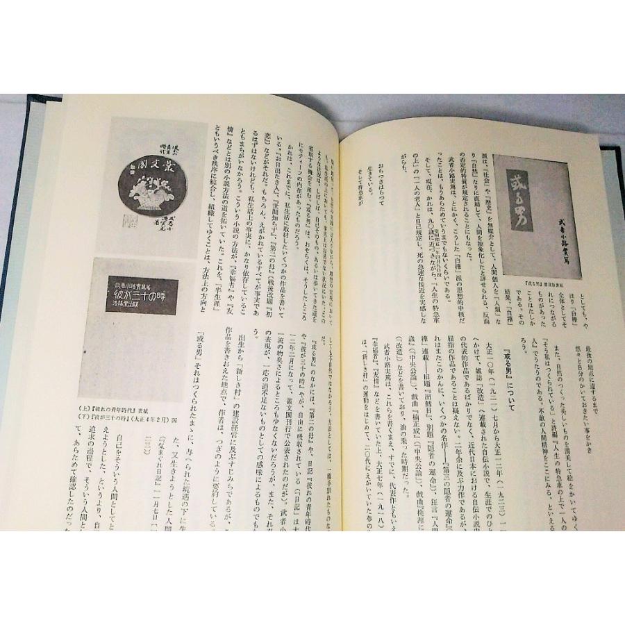 精選名著復刻全集 近代文学館 作品解題 名著復刻全集編集委員会編 日本