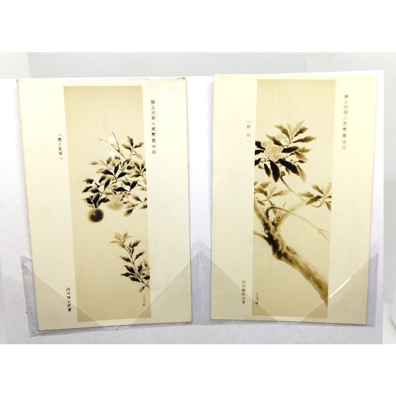 レトロ・絵葉書 丹阿彌岩吉 個人展覧会出品作品 9枚 : ブックスマイル