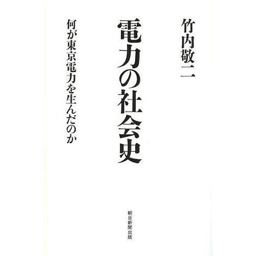 電力の社会史 何が東京電力を生んだのか/竹内敬二｜bookfan