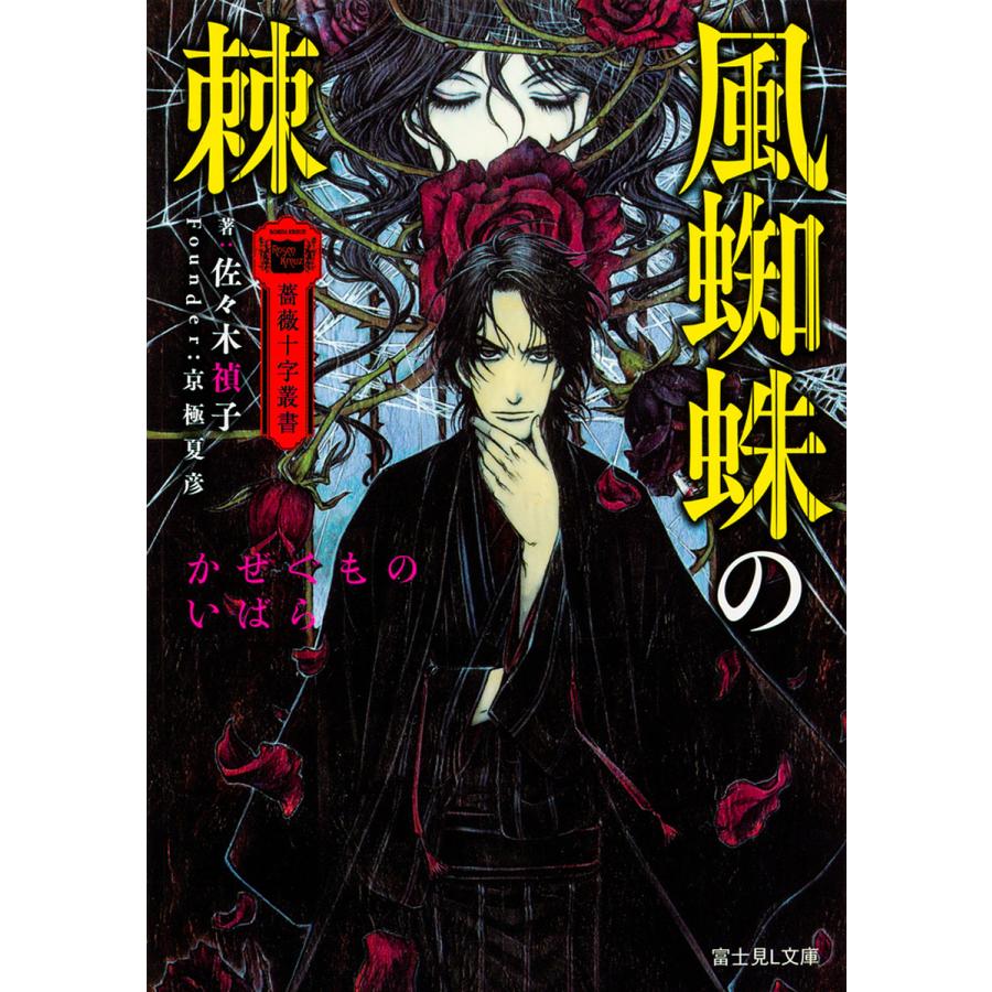 風蜘蛛の棘/佐々木禎子 | 