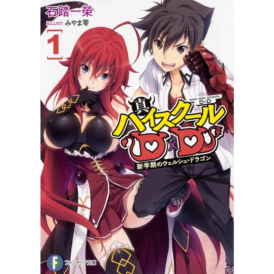 真ハイスクールD×D 1/石踏一榮 | 