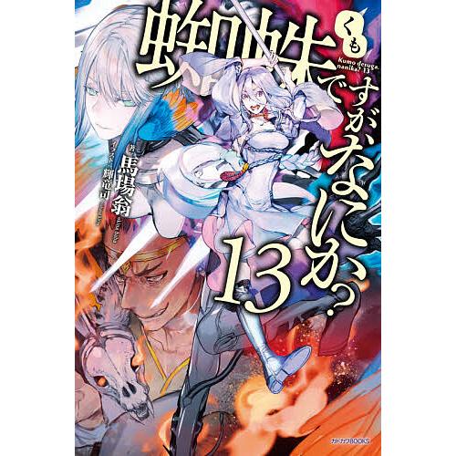 蜘蛛ですが、なにか? 13/馬場翁 | 