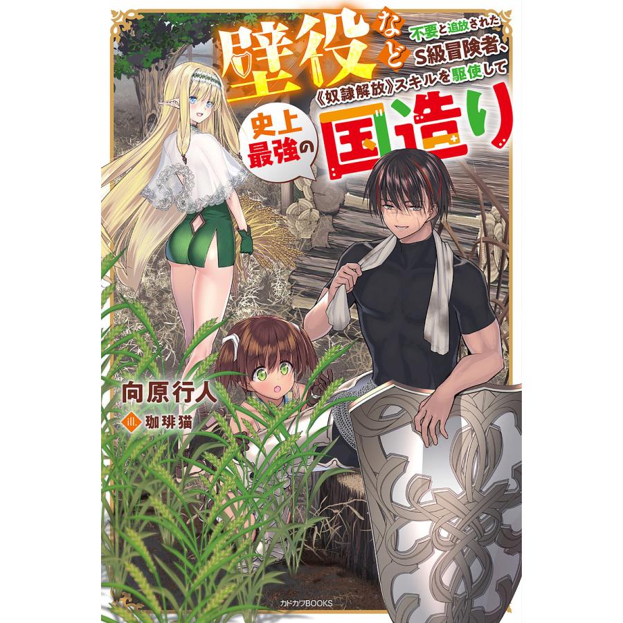 壁役など不要と追放されたS級冒険者、《奴隷解放》スキルを駆使して史上最強の国造り/向原行人 | 