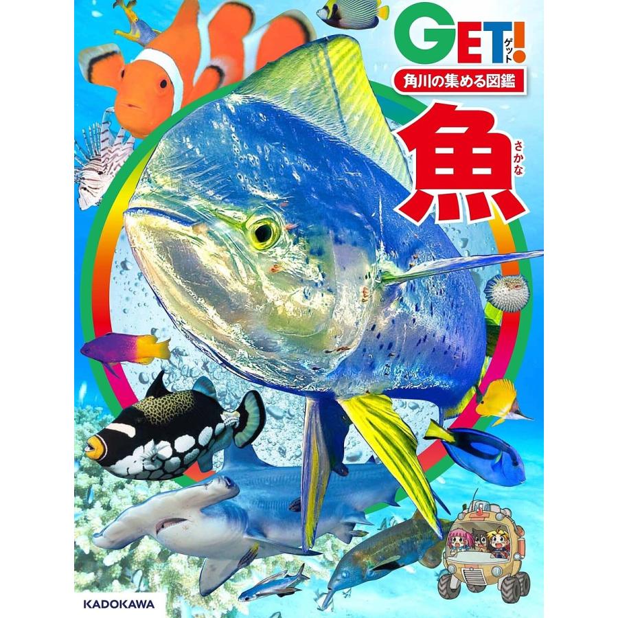 魚/宮正樹/小枝圭太/佐土哲也 | 